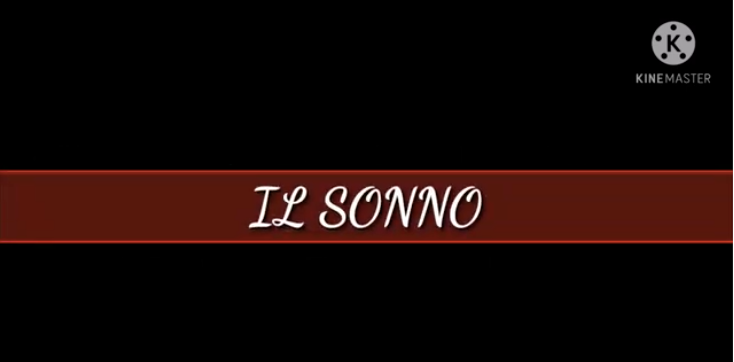 Importanza del Sonno di Martina Baschirotto, Angela Pace, Mattia Padovan, Mattia Pivatello 